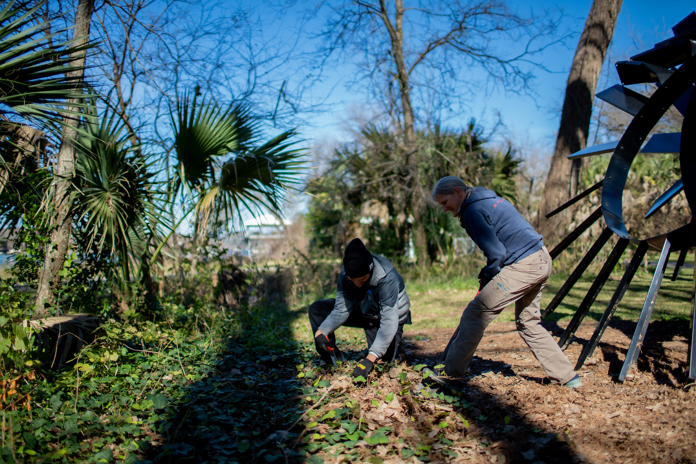 Digging up invasives at Laguna Gloria